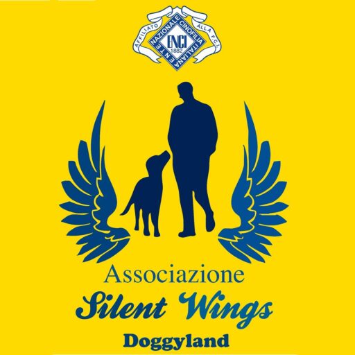 Associazione Silent Wings